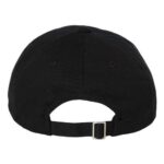 EcoWash™ Dad Hat