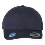 EcoWash™ Dad Hat