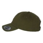 EcoWash™ Dad Hat