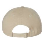 EcoWash™ Dad Hat