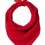 ValuMask Bandana