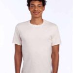 Premium Blend Ring-Spun T-Shirt