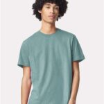 Unisex Fine Jersey Tee