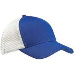 Eco Trucker Cap