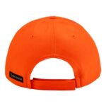 3D Buck Pro Cap
