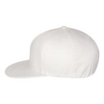 Pro-Baseball On Field Cap