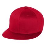 Pro-Baseball On Field Cap