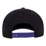 110® Snapback Cap