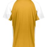 Men's Cutter Jersey